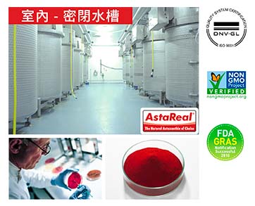AstaReal™ 美國原材料，澳洲製造。AstaReal™ 是世界排名第一的安全天然蝦紅素品牌