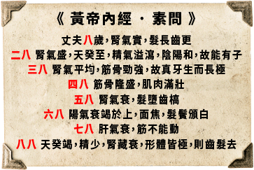 腎: 掌控生命階段、生殖能力與健康