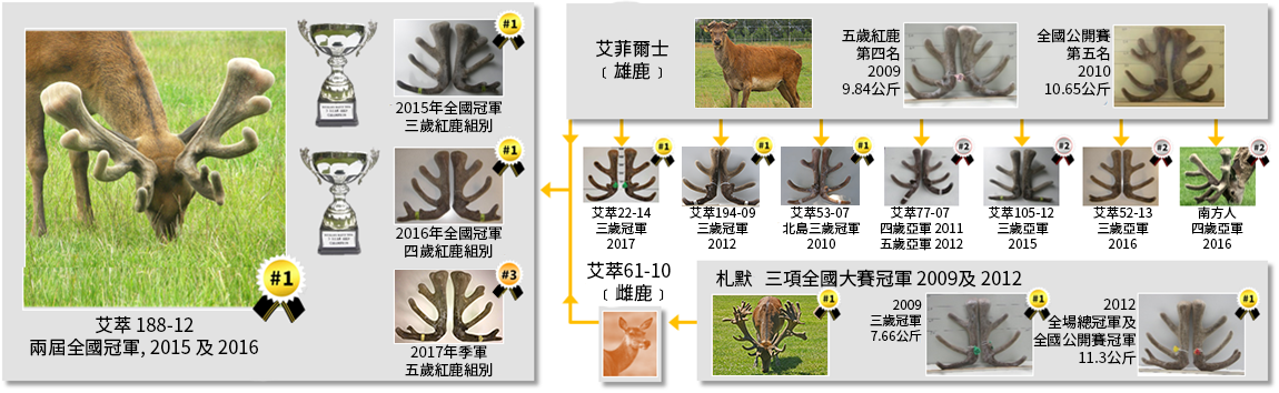 艾萃®188-12,是紐西蘭全國鹿茸大賽兩屆冠軍,分別於2015年的三歲紅鹿組別及2016年的四歲紅鹿組別勝出。在2017年,亦榮獲得五歲紅鹿組別的季軍。