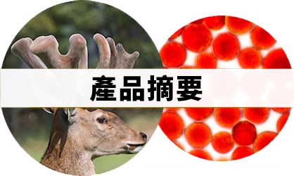 極品之源™ 紐西蘭「大茸頭」鹿茸+蝦紅素膠囊